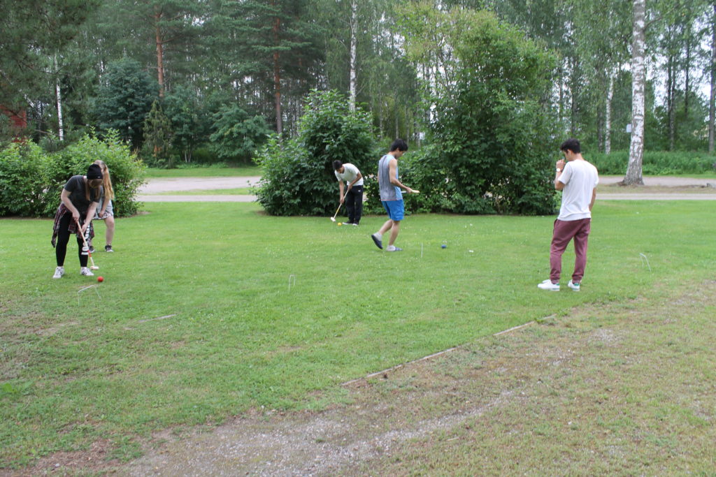 Croquet play in action